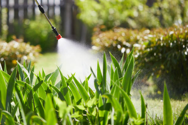 24/7 Emergency Mosquito Control experts in Seabrook Island, SC