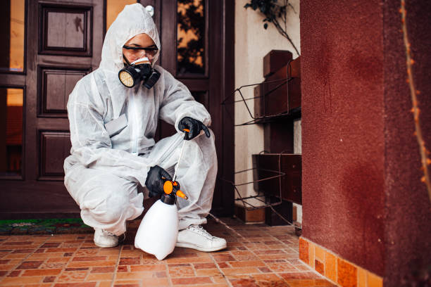 Reliable Mosquito Control contractor in Seabrook Island, SC by Nex Pest Control