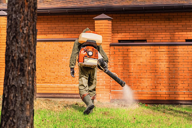 Trusted Bed Bug Control service in Seabrook Island, SC - Nex Pest Control